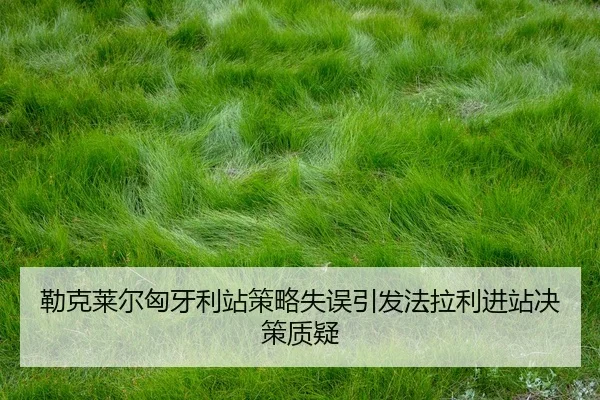 lei-ke-lai-er-xiong-ya-li-zhan-ce-lve-shi-wu-yin-fa-fa-la-li-jin-zhan-jue-ce-zhi-yi-2-722.jpg