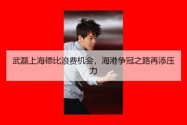 wu-lei-shang-hai-de-bi-lang-fei-ji-hui-hai-gang-zheng-guan-zhi-lu-zai-tian-ya-li-2-894.jpg