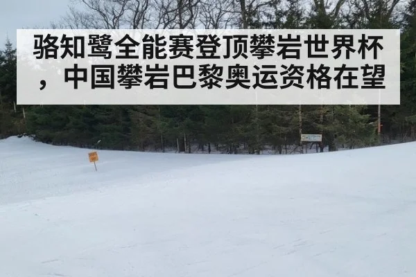 骆知鹭全能赛登顶攀岩世界杯,中国攀岩巴黎奥运资格在望